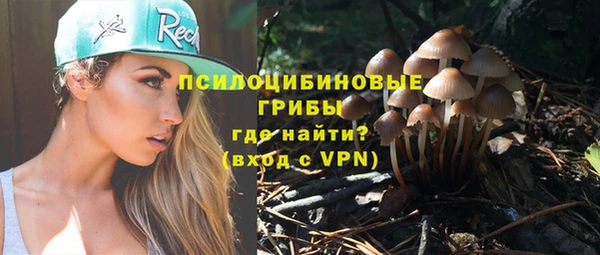 спайс Абаза